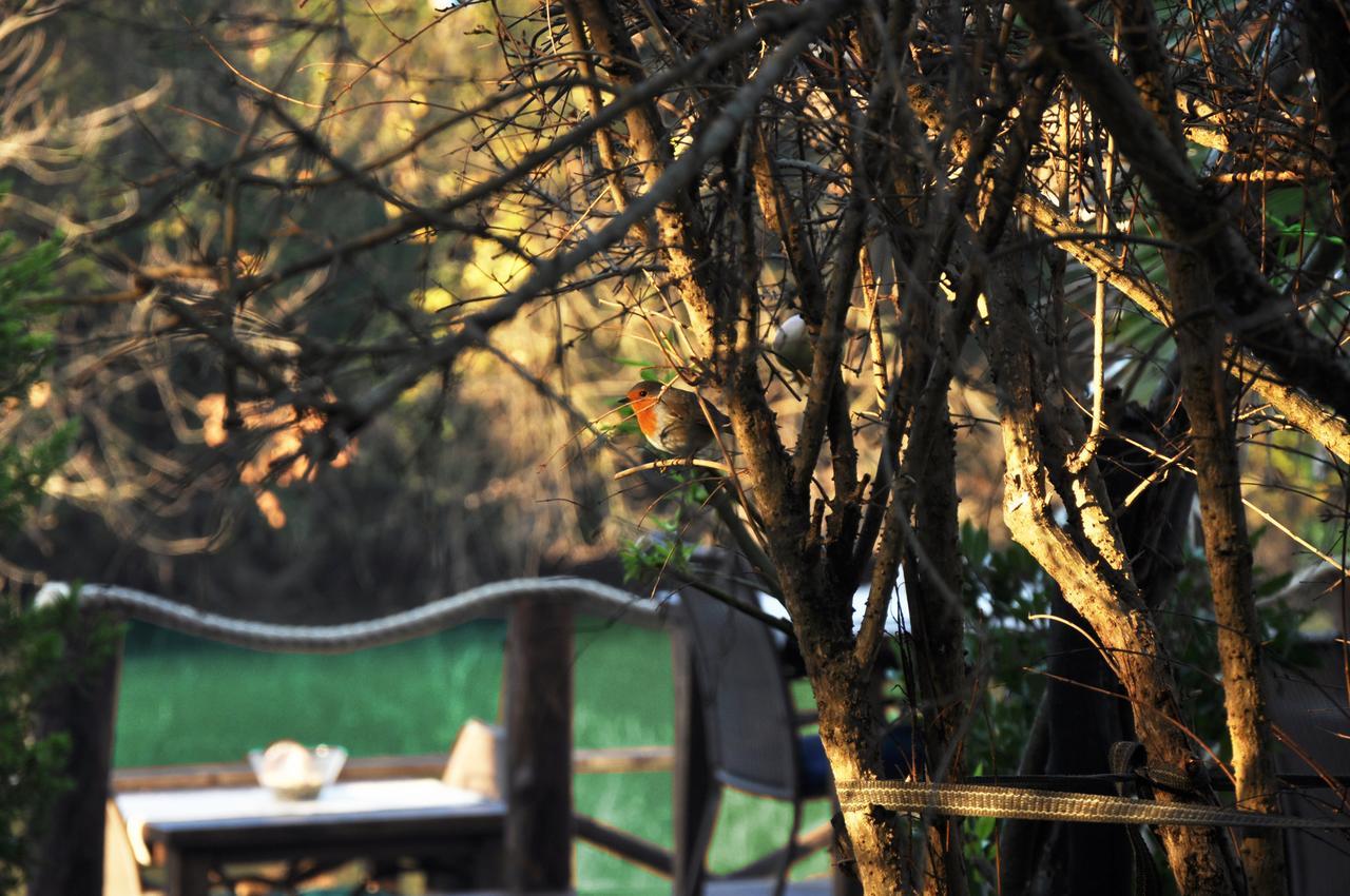 Lethe Exclusive Hotel (Adults Only) Ağva Esterno foto